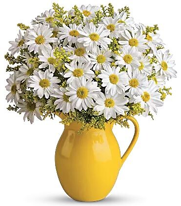 Sunny Day Pitcher of Daisies