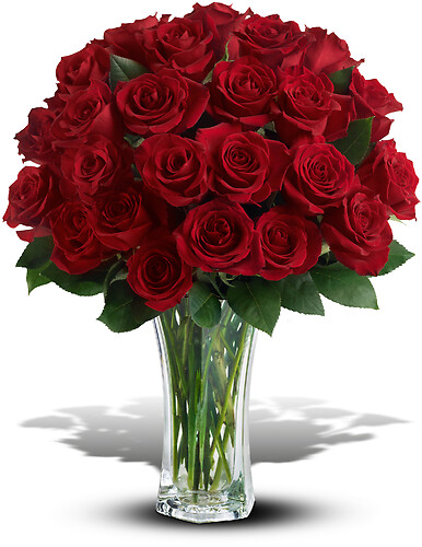 Love and Devotion - Long Stemmed Red Roses