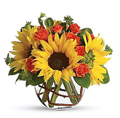 Sunny Sunflowers