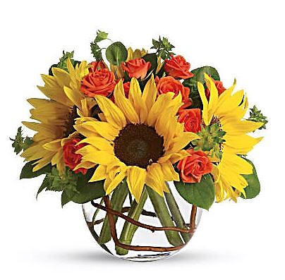 Sunny Sunflowers